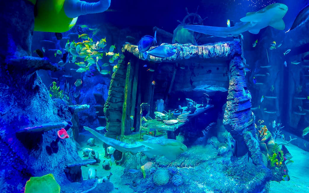 Underwater shipwreck dining scene at Sea Life Aquarium, Legoland Malaysia, with fish swimming around.