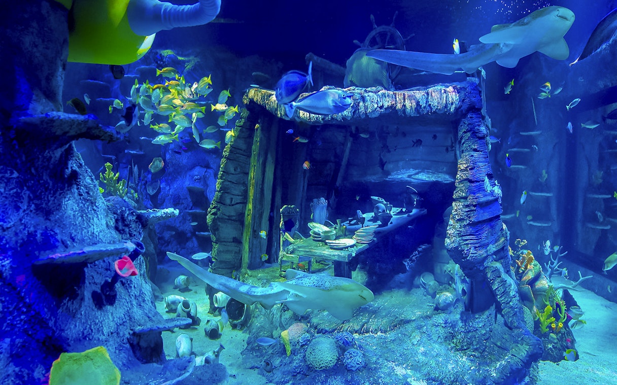 Underwater shipwreck dining scene at Sea Life Aquarium, Legoland Malaysia, with fish swimming around.