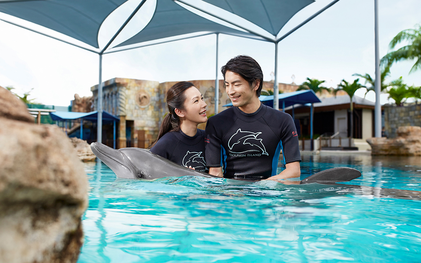 Couple interacting with a dolphin at Dolphin Island, Resorts World Sentosa.