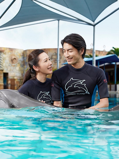 Couple interacting with a dolphin at Dolphin Island, Resorts World Sentosa.
