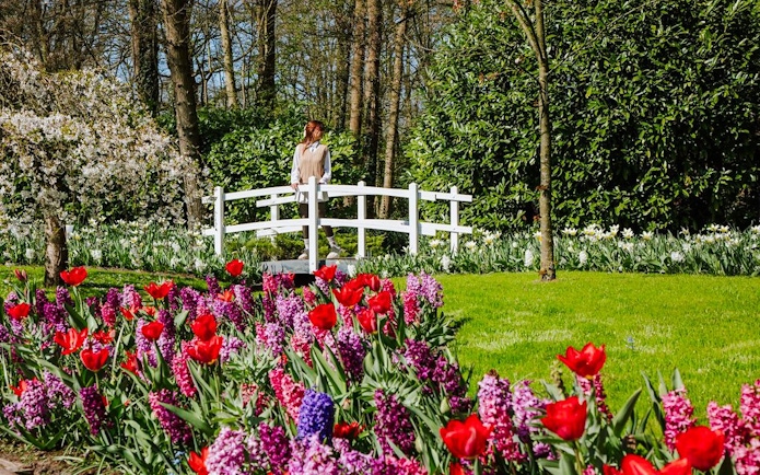 Visitors at Keukenhof Gardens, Amsterdam, walking near vibrant tulip beds and a white bridge.