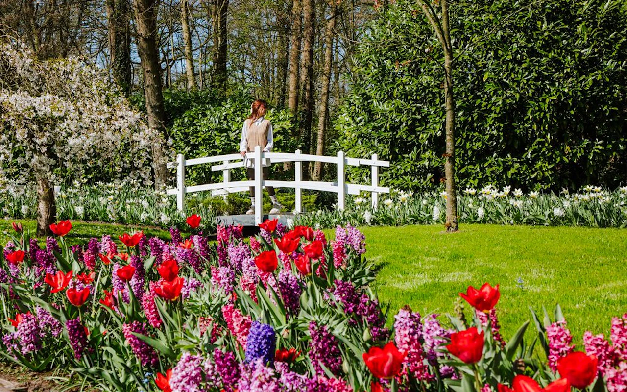 From Amsterdam: Keukenhof & Tulip Farm Full-Day Trip with Windmill Cruise — 9