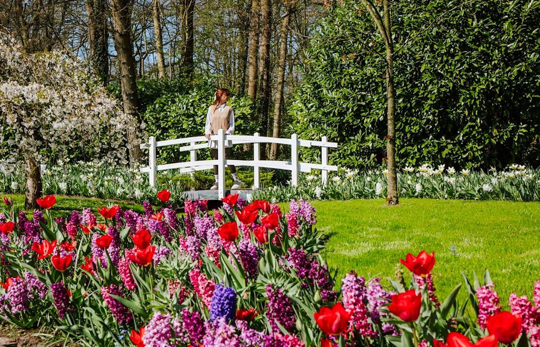 Visitors at Keukenhof Gardens, Amsterdam, walking near vibrant tulip beds and a white bridge.