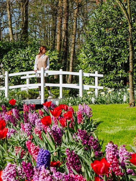 Visitors at Keukenhof Gardens, Amsterdam, walking near vibrant tulip beds and a white bridge.