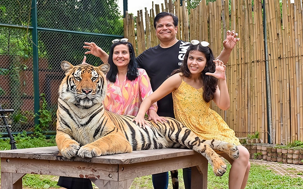 Family petting a tiger on a table at Tiger Kingdom experience.
