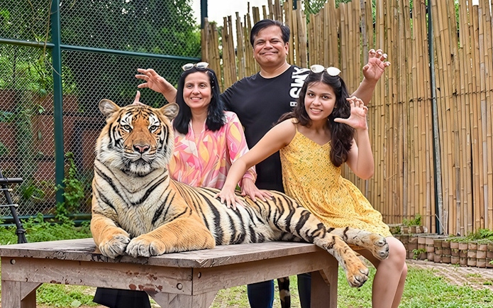 Family petting a tiger on a table at Tiger Kingdom experience.