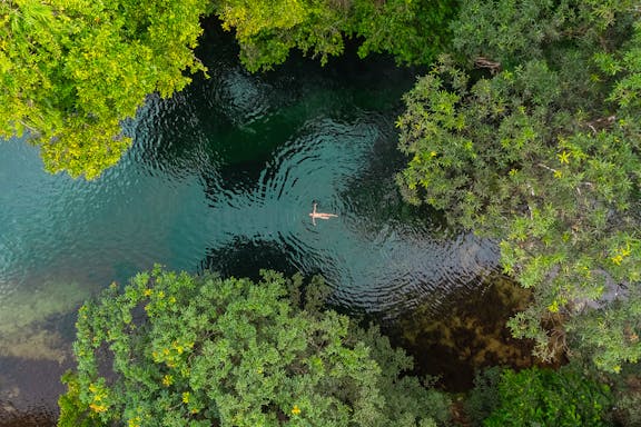 half-day waterfall wanderers tour in queensland-6