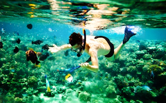 cham island snorkeling tour with lunch from da nang or hoi an-2
