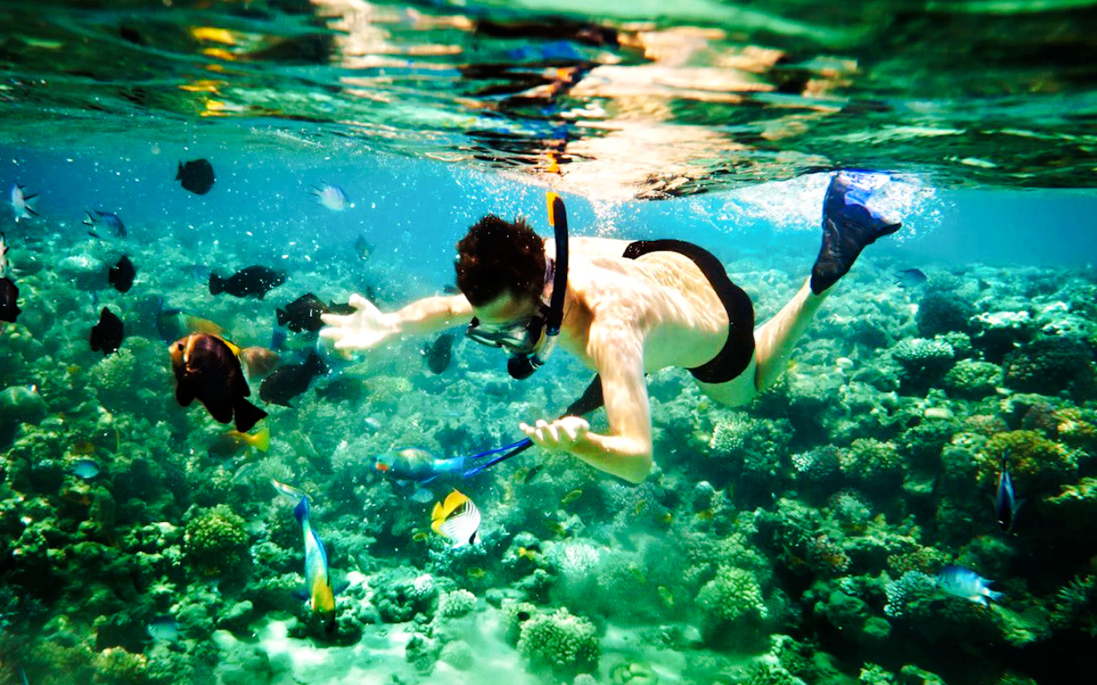 Cham Island Snorkeling Tour with Lunch from Da Nang or Hoi An Image 2