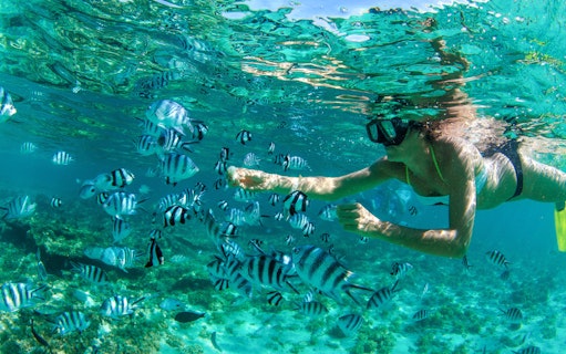 Snorkeler observing striped fish in clear waters of Mauritius.
