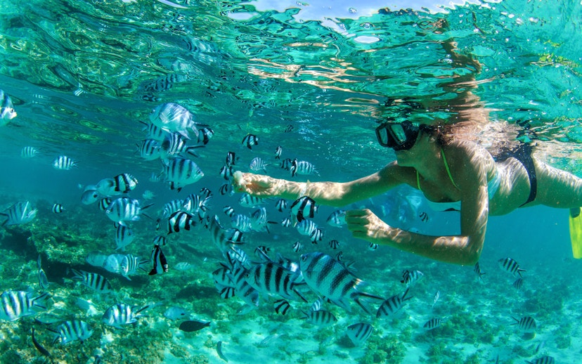 Snorkeler observing striped fish in clear waters of Mauritius.