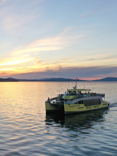 Prince of Whales catamaran sailing on calm waters at sunset.