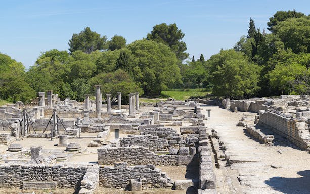 Glanum Archaeological Site ruins with stone columns and ancient structures in a green landscape.