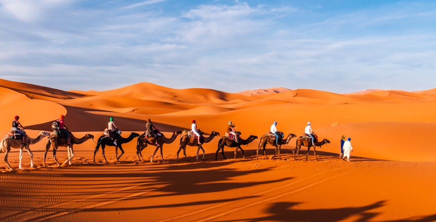 Wycieczki po La Palmeraie