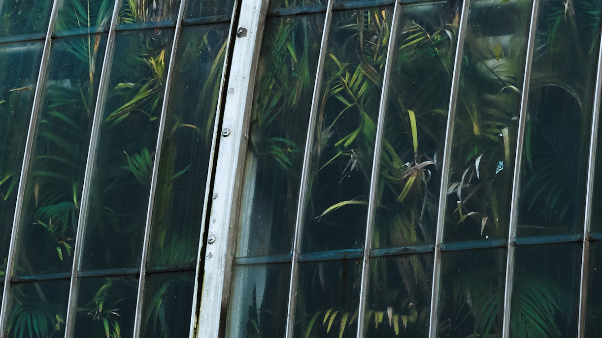 Kew Garden biglietti