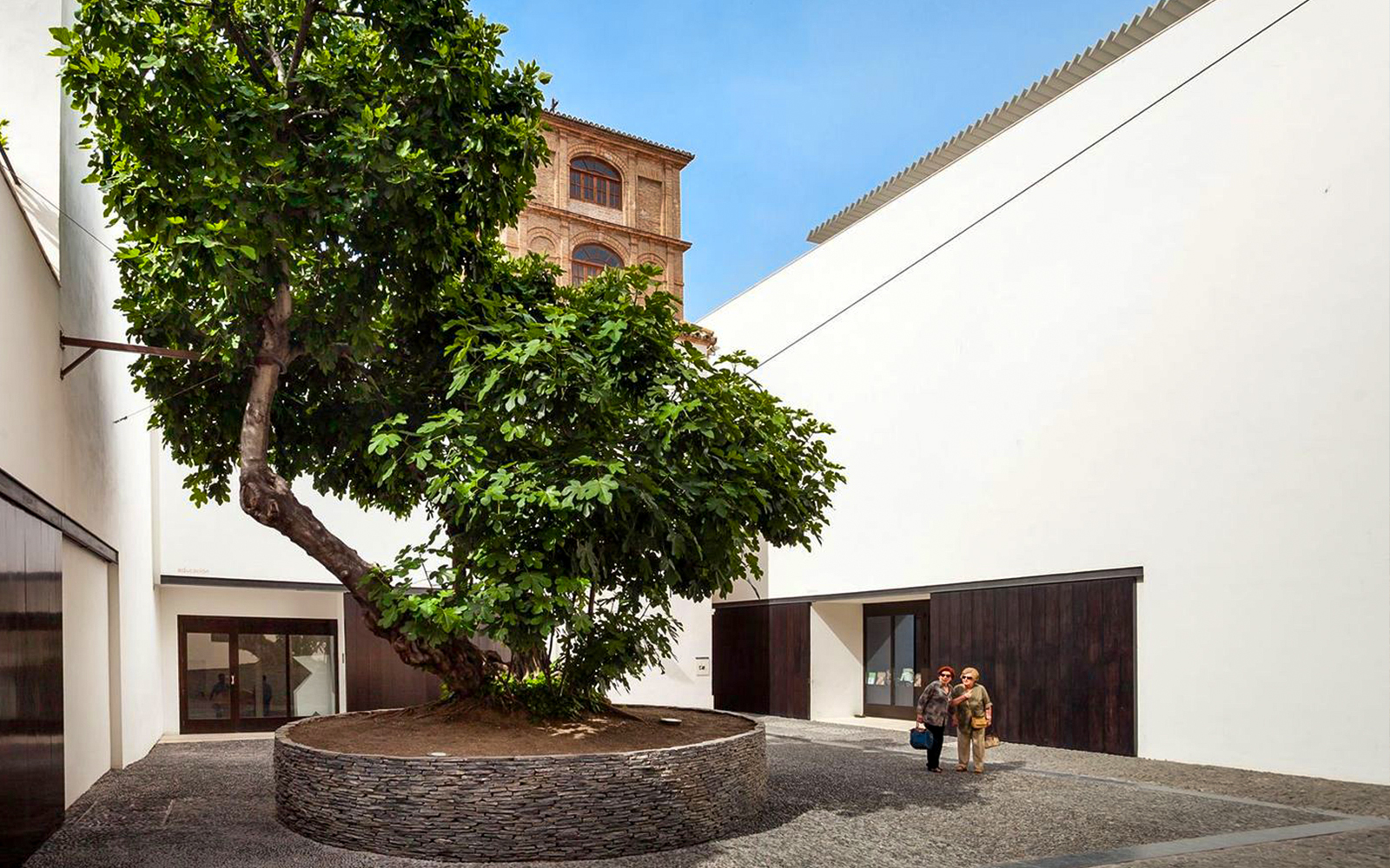 Courtyard of Picasso Museum in Malaga with visitors and a large tree.