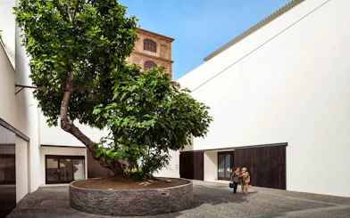 Courtyard of Picasso Museum in Malaga with visitors and a large tree.