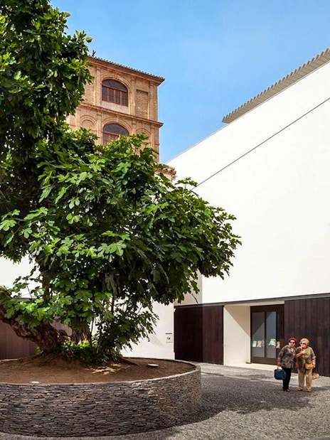 Courtyard of Picasso Museum in Malaga with visitors and a large tree.