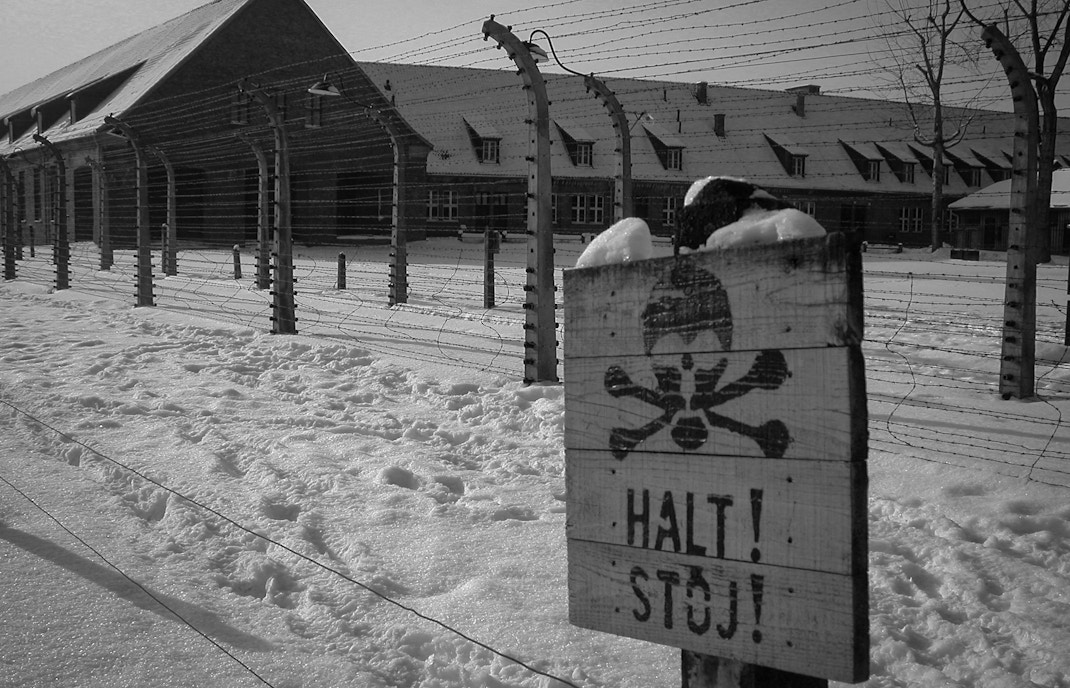 Auschwitz Facts escape