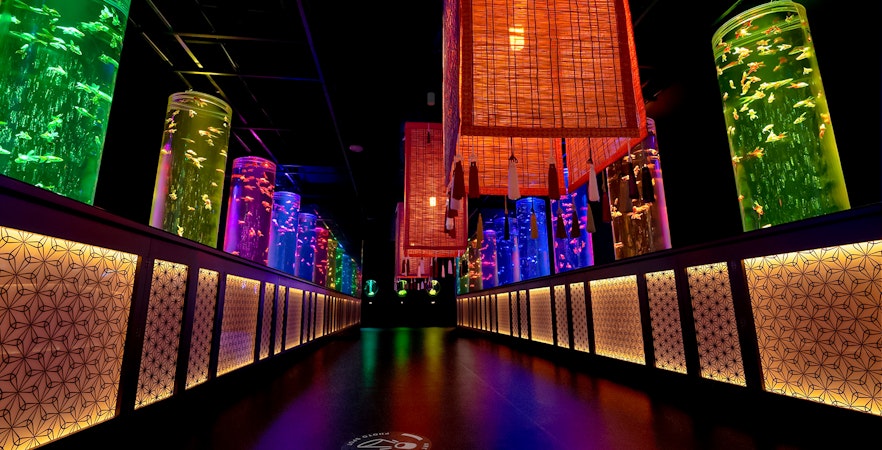 Sanat Akvaryum Müze