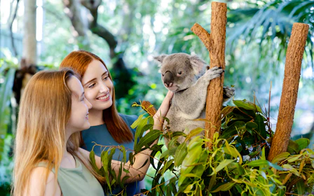 Lone Pine Koala Sanctuary Tickets