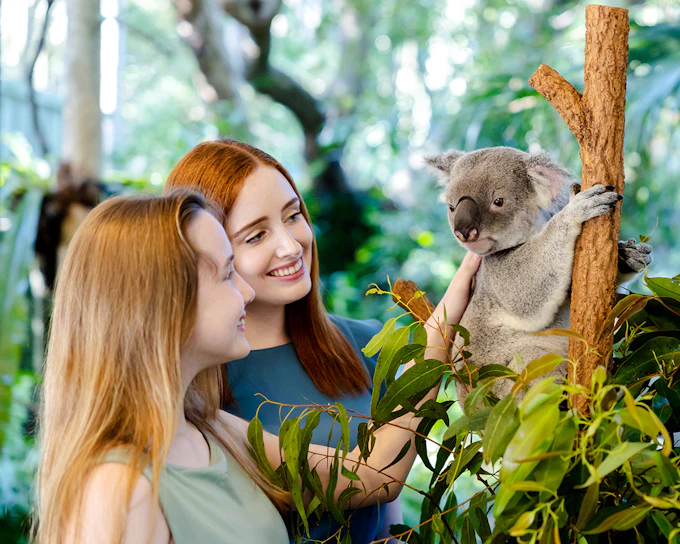 Lone Pine Koala Sanctuary Tickets