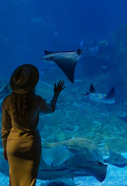 Visitor observing stingrays at Istanbul Aquarium.