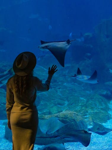 Acuario de Estambul