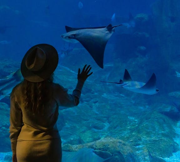 Visitor observing stingrays at Istanbul Aquarium.