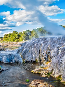 Geothermal geyser steaming at Te Puia, New Zealand, with lush greenery in the background.