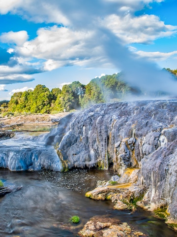 Geothermal geyser steaming at Te Puia, New Zealand, with lush greenery in the background.