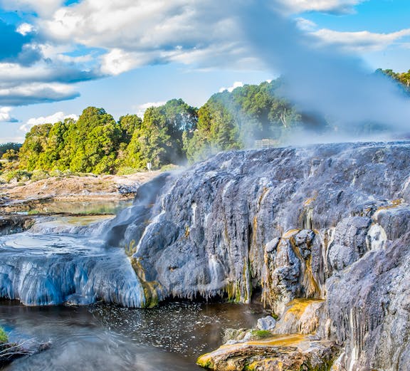 Geothermal geyser steaming at Te Puia, New Zealand, with lush greenery in the background.