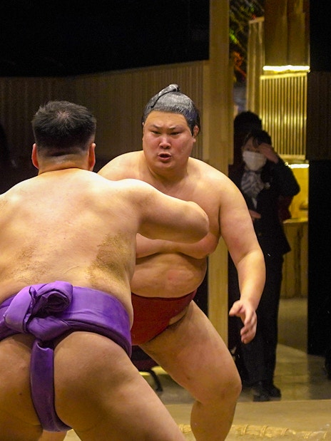 Sumo wrestlers competing at Asakusa Sumo Club, Tokyo.