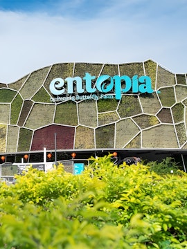 Entopia by Penang Butterfly Farm entrance with green wall and foliage.