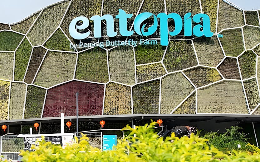 Entopia by Penang Butterfly Farm entrance with green wall and foliage.