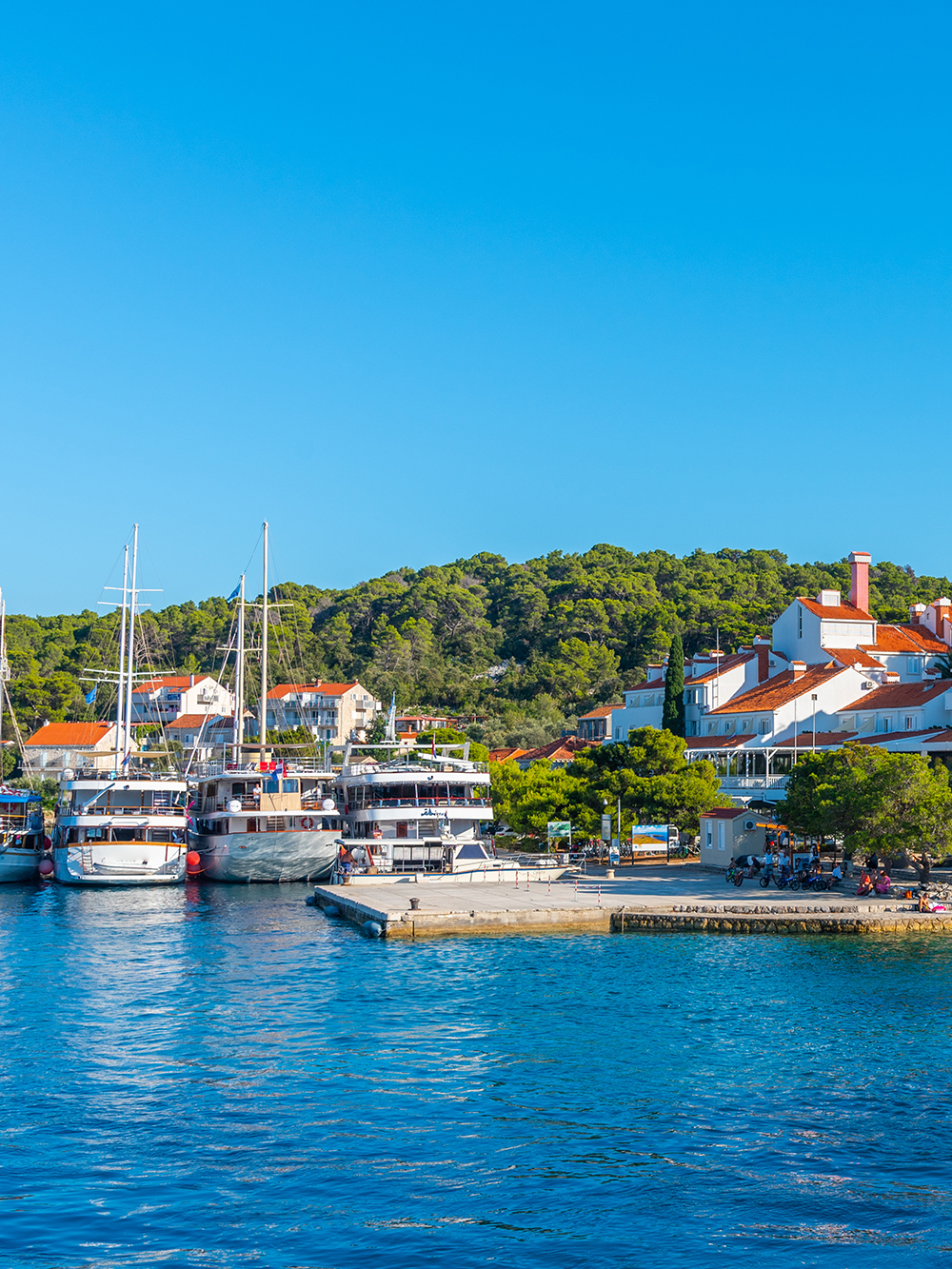 Dubrovnik to Mljet Island National Park