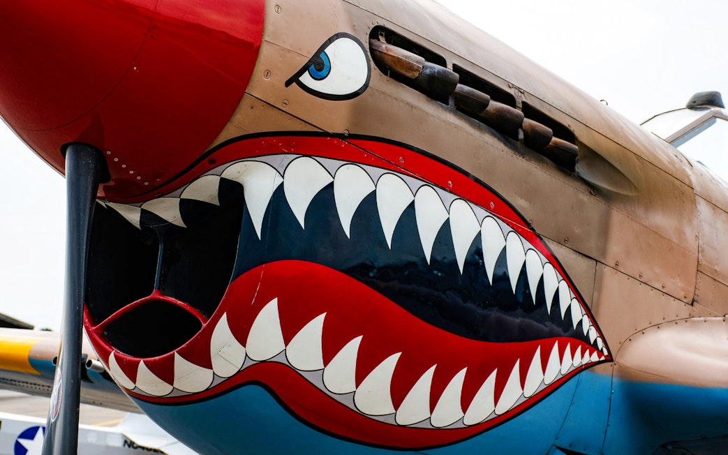 Fighter plane nose art with shark teeth design.