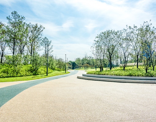 Pathway through a city park landscape with trees and greenery.
