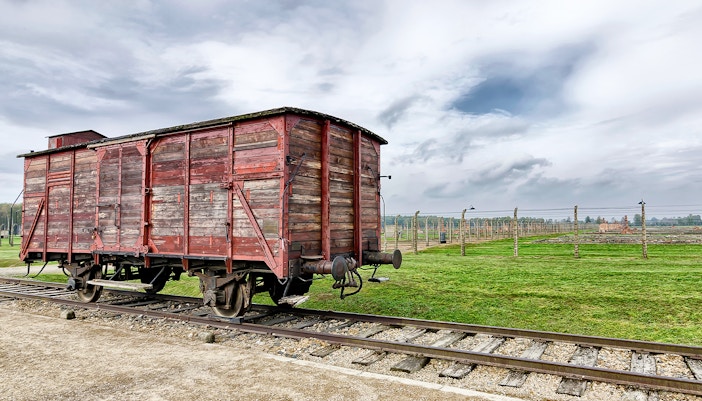 Many Hungarian Jews Were Deported from Auschwitz Birkenau