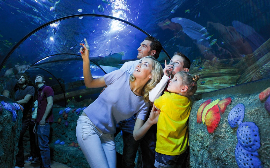 Mother and children observing fish in tunnel at Sea Life Aquarium, Verona.