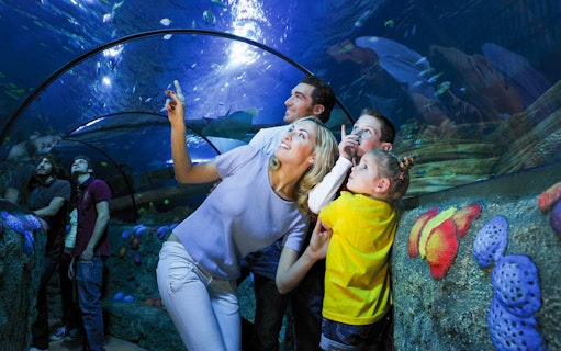 Mother and children observing fish in tunnel at Sea Life Aquarium, Verona.