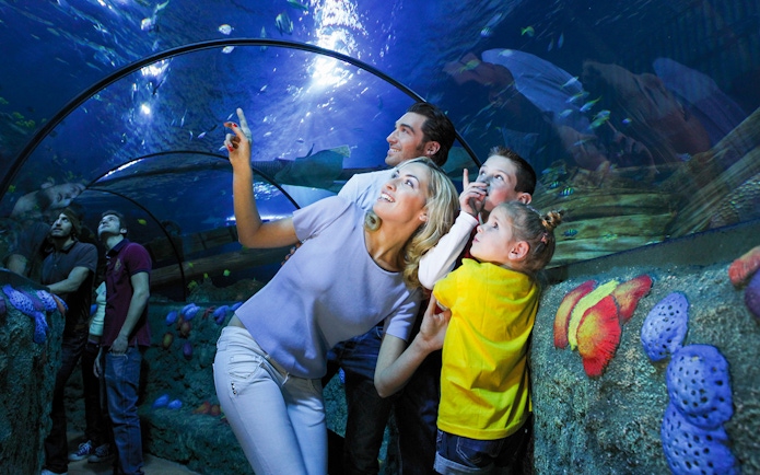 Mother and children observing fish in tunnel at Sea Life Aquarium, Verona.