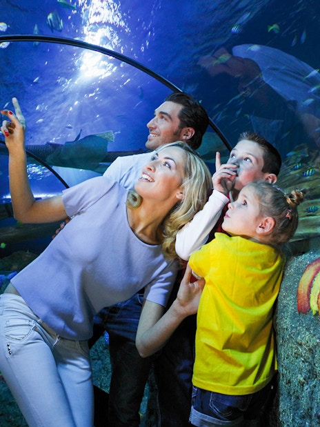 Mother and children observing fish in tunnel at Sea Life Aquarium, Verona.