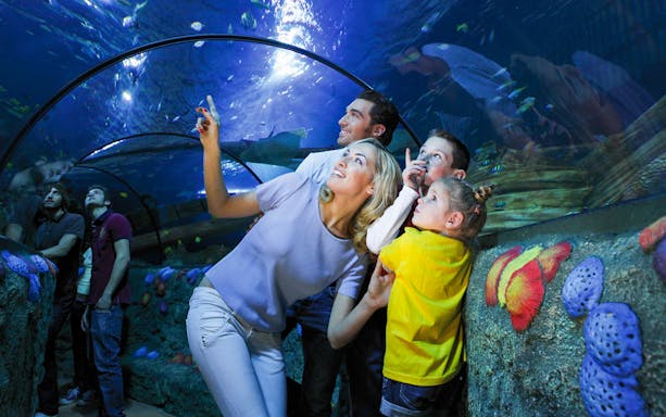 Mother and children observing fish in tunnel at Sea Life Aquarium, Verona.
