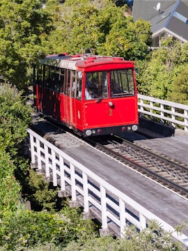 Wellington Cable Car traveling through lush greenery.