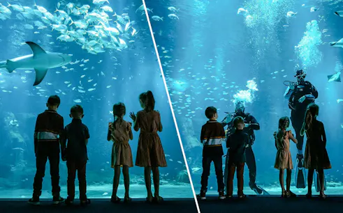 Children observing a diver in the Nausicaá aquarium, Paris, France.