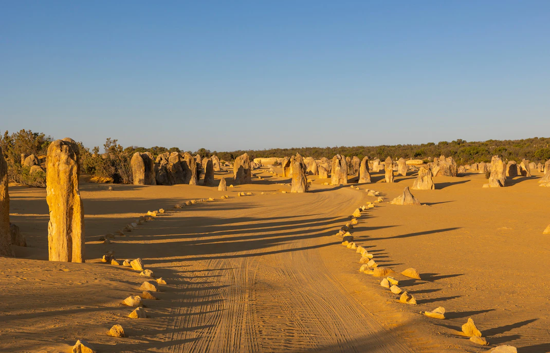 Pinnacles Desert rock formations at sunset in Nambung National Park, Western Australia.