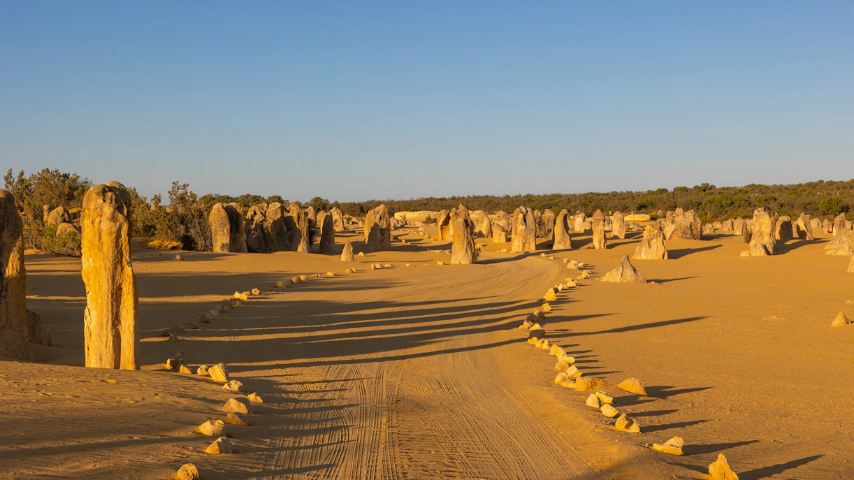 Pinnacles Desert rock formations at sunset in Nambung National Park, Western Australia.