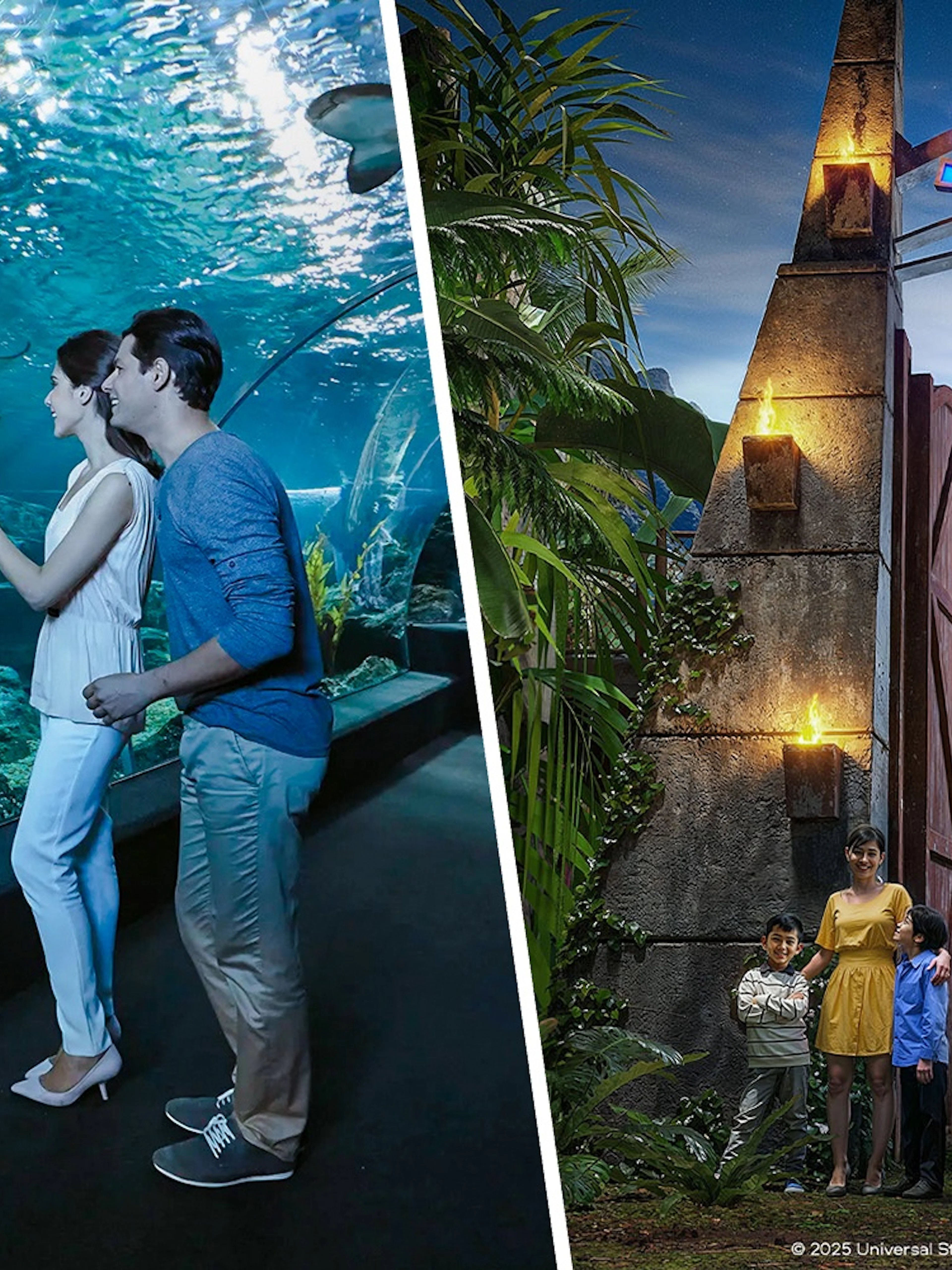 Visitors observing a shark in the tunnel at Sea Life Bangkok.