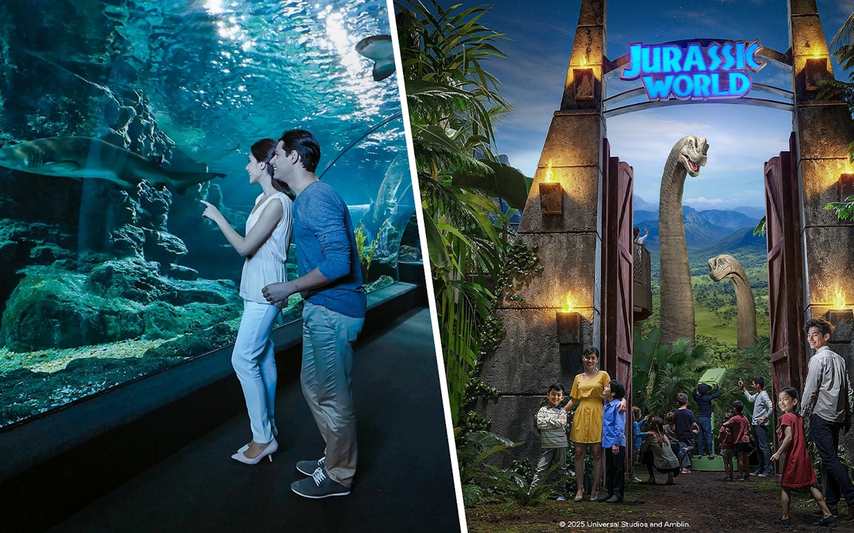 Visitors observing a shark in the tunnel at Sea Life Bangkok.